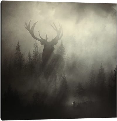 Guardian Of The Forest II Canvas Art Print - Sebastien Del Grosso