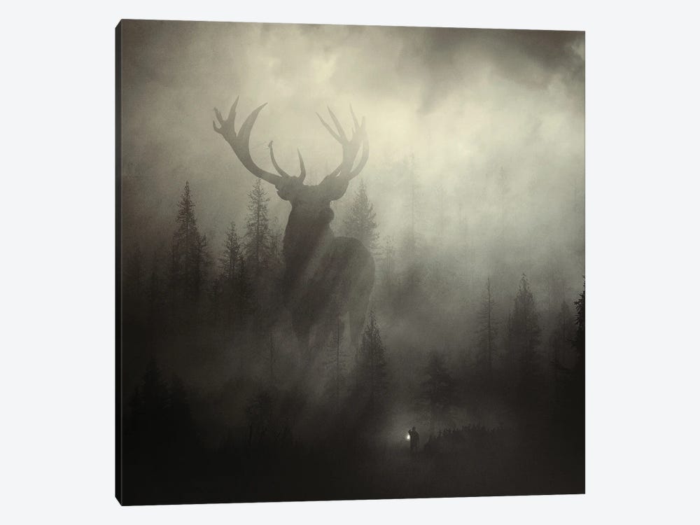 Guardian Of The Forest II by Sebastien Del Grosso 1-piece Canvas Art Print