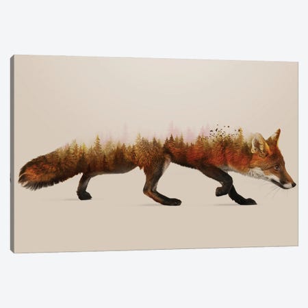 The Fox Canvas Print #SDG168} by Sebastien Del Grosso Canvas Wall Art