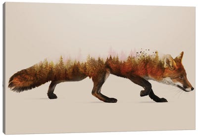 The Fox Canvas Art Print - Sebastien Del Grosso