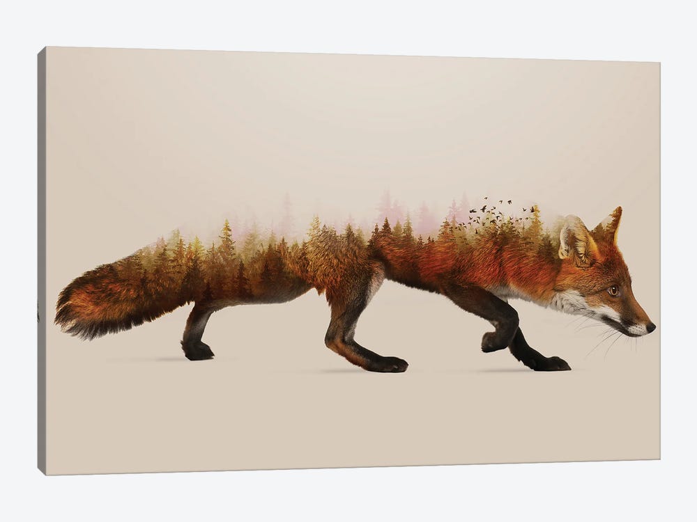 The Fox by Sebastien Del Grosso 1-piece Canvas Print