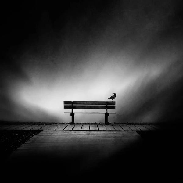 Black & White Animal Art: Tempus Fugit I by Sebastien Del Grosso