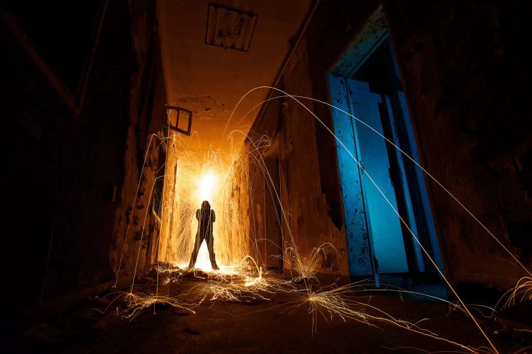 Intruder by Sebastien Del Grosso wall art