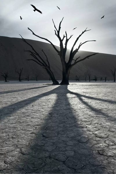 Sebastien Del Grosso: 900 Years After by Sebastien Del Grosso