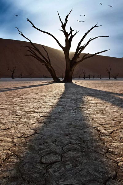 Survivors Of The Past I by Sebastien Del Grosso art print