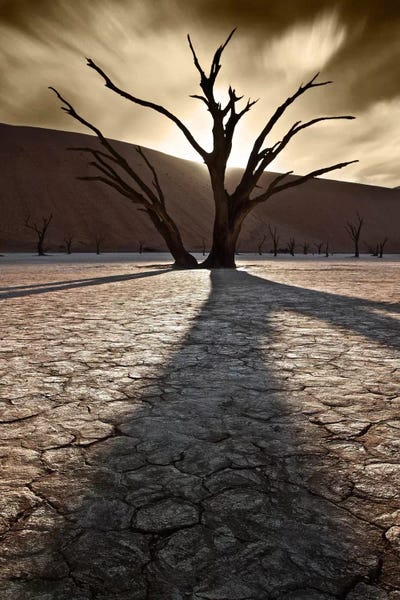 Mountain Sunrises & Sunsets: Survivors Of The Past II by Sebastien Del Grosso