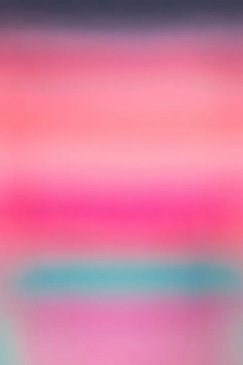 Avid No.137 by Seamus Dao wall art