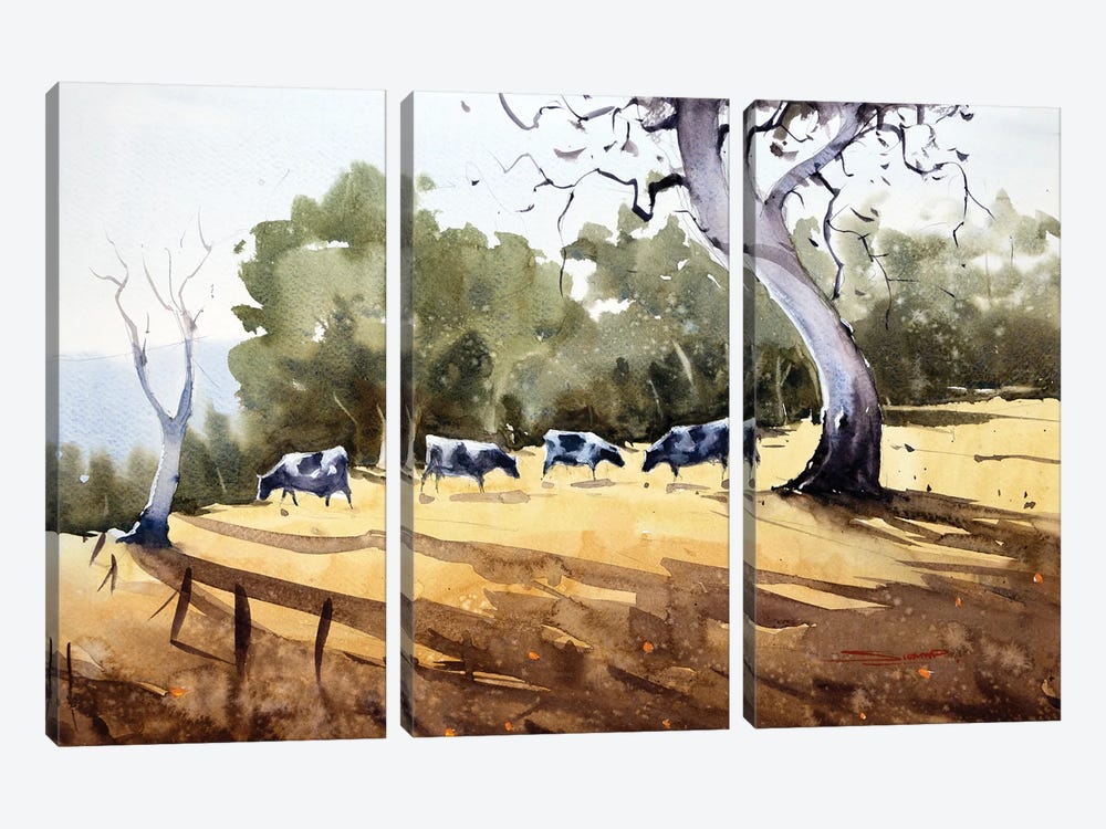 Cows Grazing In The Village Fields by Swarup Dandapat 3-piece Canvas Artwork