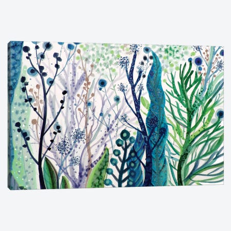Algae Canvas Print #SDS102} by Sylvie Demers Canvas Art