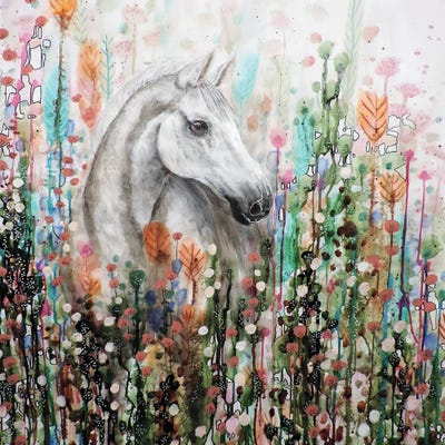 Ame Sauvage by Sylvie Demers canvas print