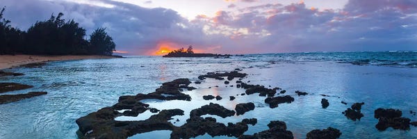 Sean Davey: Gold Beacon by Sean Davey