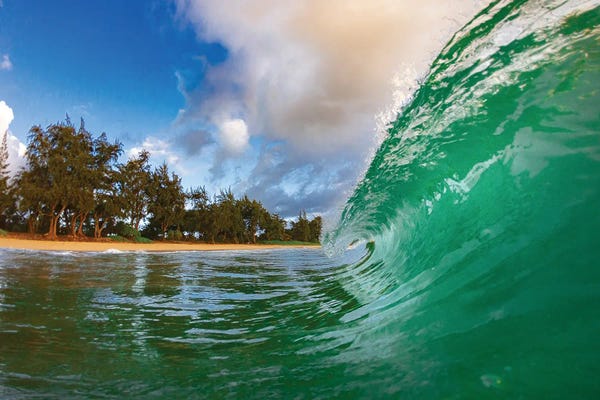 Sean Davey: Green Arch by Sean Davey