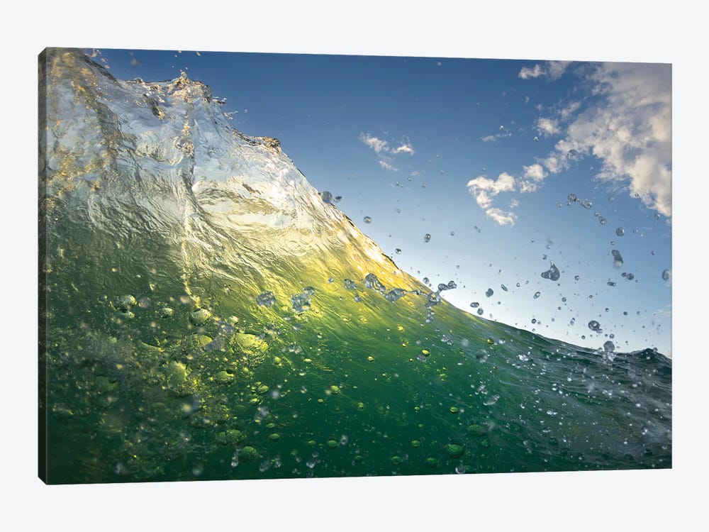 Green Droplets by Sean Davey 1-piece Canvas Wall Art