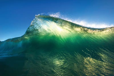 Green Shade by Sean Davey art print