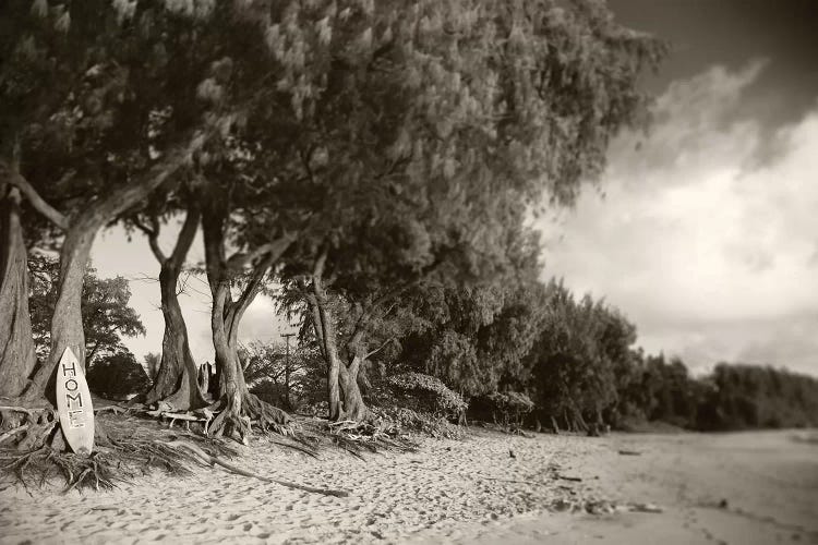 Home Sepia by Sean Davey wall art