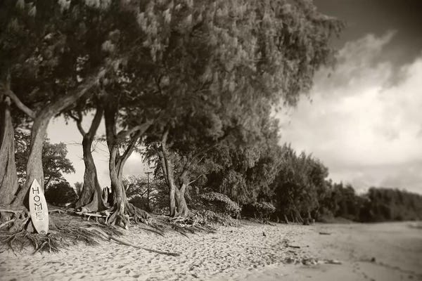 Sean Davey: Home Sepia by Sean Davey