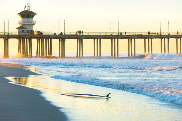 Large Coastal Art - Canvas Prints: Huntington Beach Pier by Sean Davey