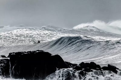 In The Elements by Sean Davey art print