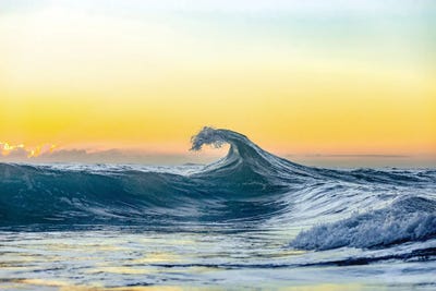 Lemon Crest by Sean Davey art print