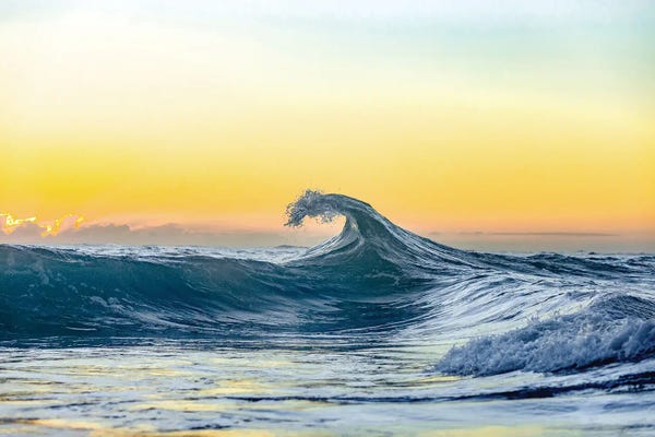 Sean Davey: Lemon Crest by Sean Davey