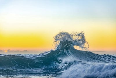 Lemon Inertia by Sean Davey art print