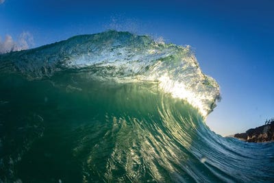 Lime Green Curl by Sean Davey art print