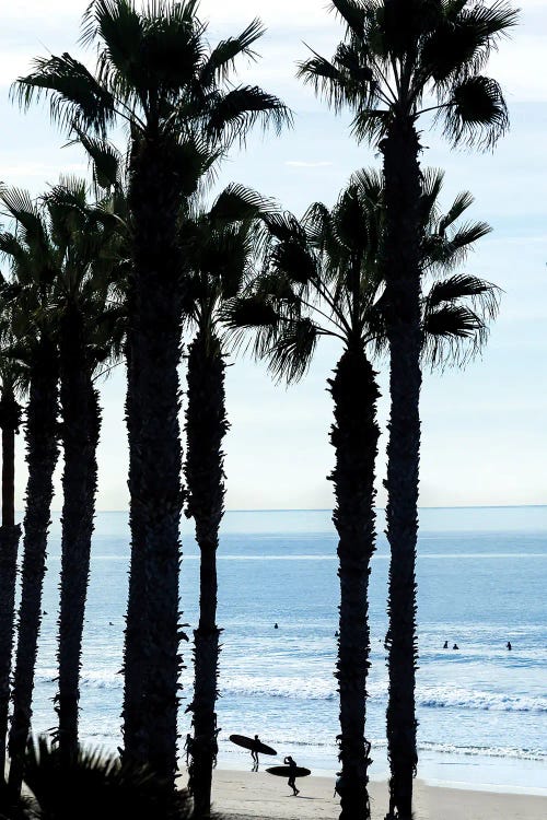 Oceanside Silhouettes by Sean Davey wall art
