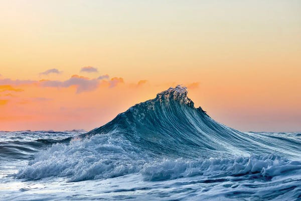 Sean Davey: Bear Claw by Sean Davey