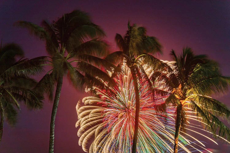 Peacock Palms