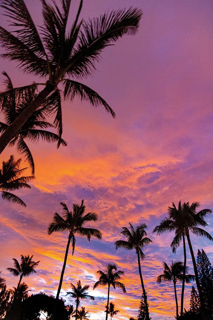 Pink Cloud Sunrise