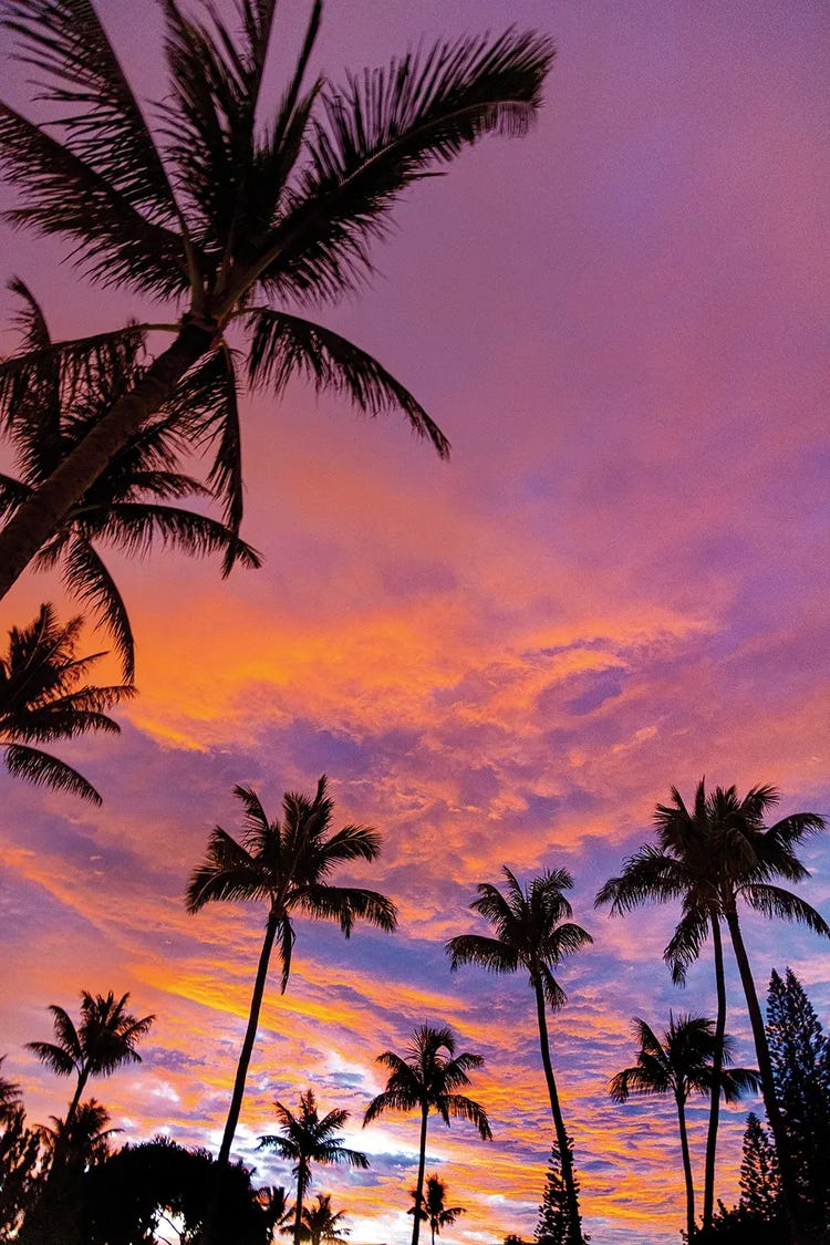 Pink Cloud Sunrise by Sean Davey wall art