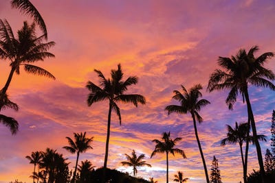 Sean Davey: Pink Cloud Sunrise Vert by Sean Davey