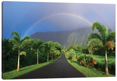 Rainbow Road Canvas Art Print - Sean Davey
