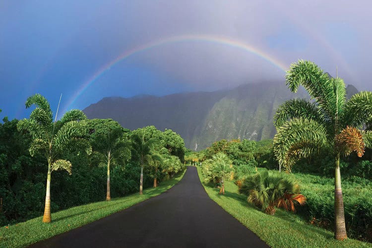 Rainbow Road by Sean Davey wall art