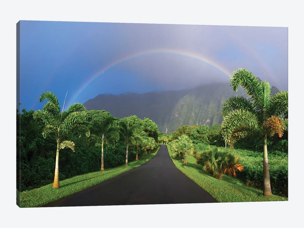 Rainbow Road by Sean Davey 1-piece Canvas Artwork