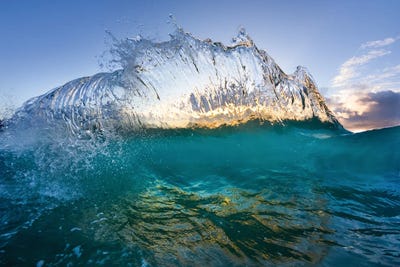 Razorback by Sean Davey multi panel art