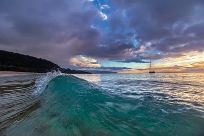 Rooster Curl by Sean Davey art print