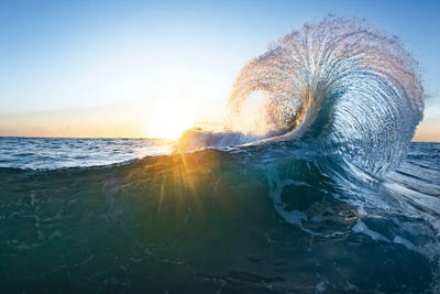 Rooster Tail by Sean Davey art print