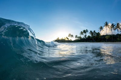 Sea Faucet by Sean Davey art print