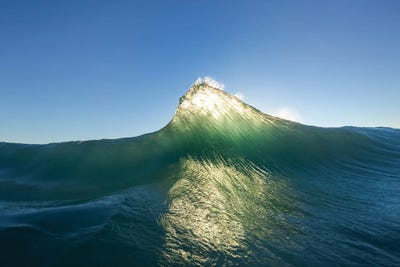 Shark Fin by Sean Davey art print