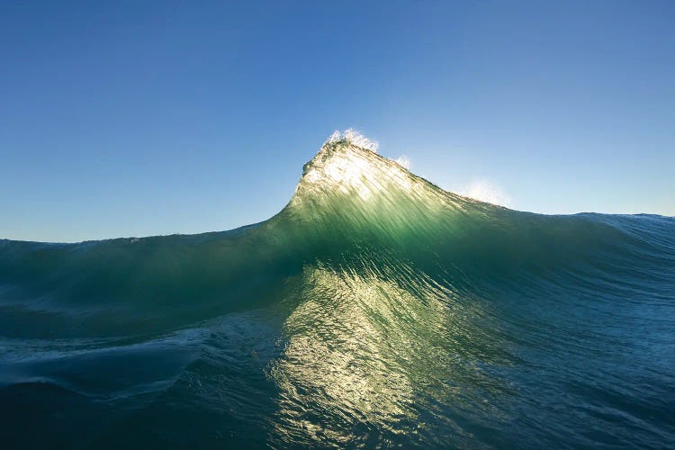 Shark Fin by Sean Davey wall art