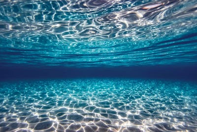 Blue Clarity I by Sean Davey art print