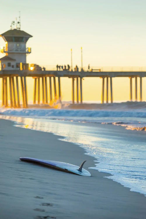 Single Fin Pier Vert by Sean Davey wall art