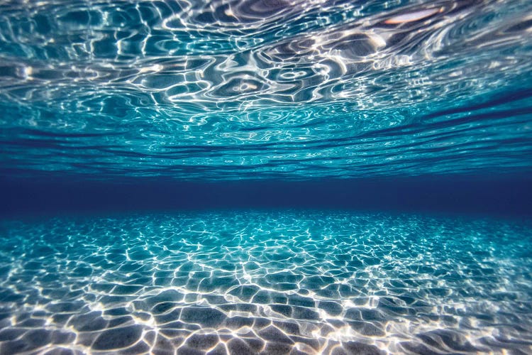 Blue Clarity I by Sean Davey wall art