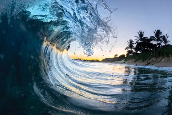 Sean Davey: Steep Shore by Sean Davey