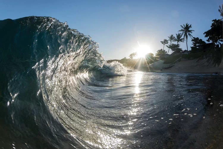 Sun Kissed by Sean Davey wall art