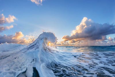 Sun Kissed Foam by Sean Davey art print