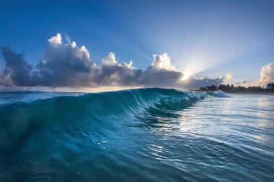 Sunburst Wave by Sean Davey art print