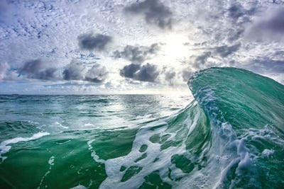 Sunlicked by Sean Davey art print