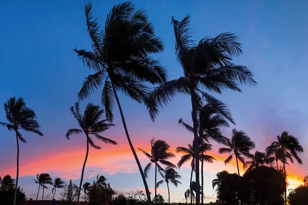 Sean Davey: Sunset Rainbow by Sean Davey